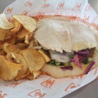 Veggie falafel with fries at Naf Naf Grill in Indianapolis