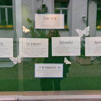 Their values: sustainable, fair, animal-friendly, plastic-free at GOODsHOUSE in Heidelberg