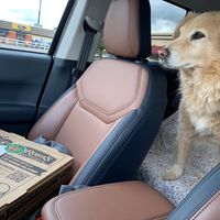 Carry out with Luna! 🐶  at LaRosa's Pizza - Hyde Park in Cincinnati