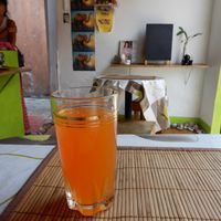 agua de papaya at HARI in Cuernavaca