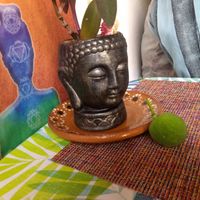 💜 at HARI in Cuernavaca