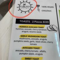 Menu at Elixir Spot in Puerto Vallarta