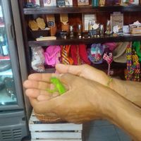 Hallo little fella;) at Elixir Spot in Puerto Vallarta