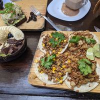  at Elixir Spot in Puerto Vallarta