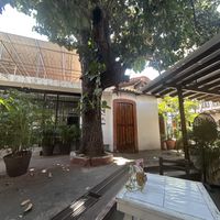 Sitting under a tree  at Elixir Spot in Puerto Vallarta