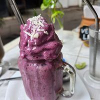  at Elixir Spot in Puerto Vallarta