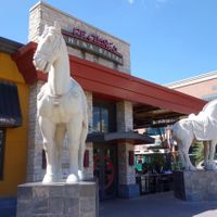 PF Chang's at P.F. Chang's in The Woodlands