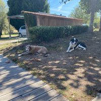  at Quinta Rio de Oliveira in Vila Cha Covas