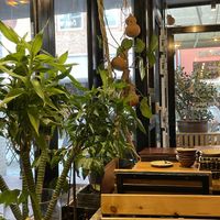 BOA Asia Vegan, Lüneburg  at BOA Asia Vegan in Lueneburg