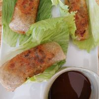 Rollitos at Tutu Vietnamese Cuisine in Barcelona