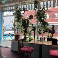 Plants😄 at Cafe Babalu in Reykjavik