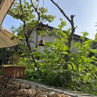   at Nokdu - Plant Based Studio 채식공간 녹두 in Gyeonggi-do