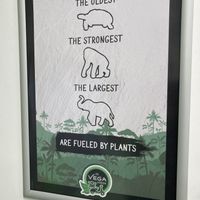 Rock!  at De Vegakoerier in Castricum