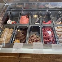 Vegan flavours   at Levi Angelo Gelato & Chocolate in Malaga