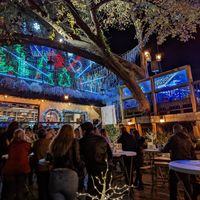 The holiday light show is best considered a side dish to the company of friend(s).  A cup of hot tea and vegan treats can be acquired in the main café on the way in.  at Mozart's Coffee Roasters in Austin