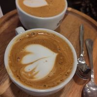 Cappuccini with oat milk! at Forno Brisa - Via Galliera in Bologna