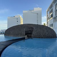   at Nido  in San Jose Del Cabo