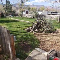 Cute back garden at Walker Burger in Coleville