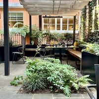 Garden  at 123V Browns in London