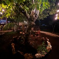   at La Yaqueria in Valladolid