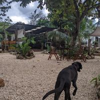  at La Yaqueria in Valladolid