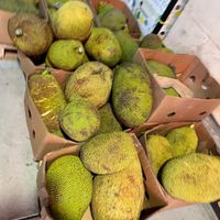 Fresh jackfruit  at Tropical Fruits Silver Creek in San Jose