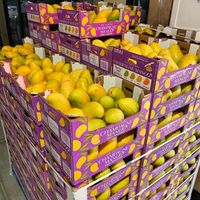 Ataulfo mangos  at Tropical Fruits Silver Creek in San Jose