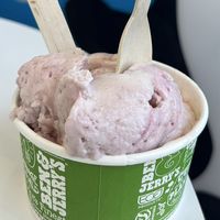 Vegan Strawberry  at Ben & Jerry's in Delray Beach