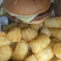 Tater tots were yummy and the small burger at Rascal in Newcastle