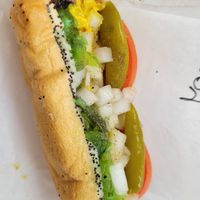 Chicago not dog dragged through the garden at Hubby's Dog House in Mt Prospect
