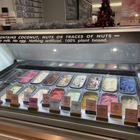 Everything’s vegan! at Kind Kones - Paragon Orchard in Central Singapore