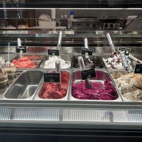 8 vegan flavors!  at Gelaaati di Marco in Barcelona