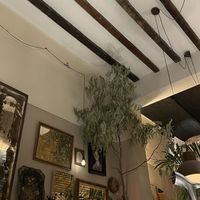   at La Bohême in Cordoba