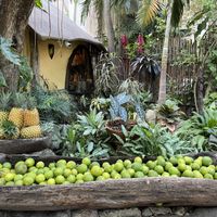   at La Cueva del Chango in Playa Del Carmen