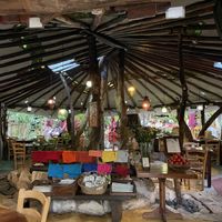   at La Cueva del Chango in Playa Del Carmen