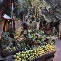   at La Cueva del Chango in Playa Del Carmen