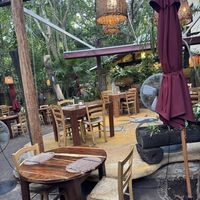   at La Cueva del Chango in Playa Del Carmen