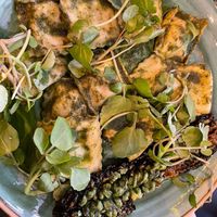 Green ravioli at Pastan Barbican in London