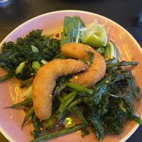 A “prawn” starter on kale and other greens   at Pastan Barbican in London