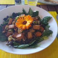 Buddha bowl at Hierbas Dulces in Gijon