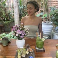 Fresh rolls and basil lemonade  at Sangha Vegetarian Restaurant in Da Nang