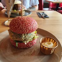  at Terra Nova in Putten