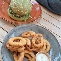 Spinach burger and onion rings at Terra Nova in Putten