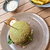 Spinach burger and side of fries at Terra Nova in Putten