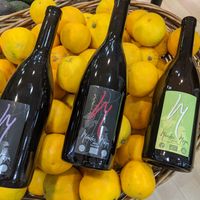 Vinos ecológicos y exclusivos de alta calidad y producción limitada,libres de sulfitos, ubicados en el altiplano de Sierra Nevada, Granada, Andalucía, España. at Canary Fruit Factory in Tenerife