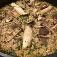 Mushroom paella   at PÖTSTOT in Barcelona