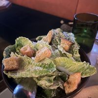 Caesar   at Lona Misa in South Yarra