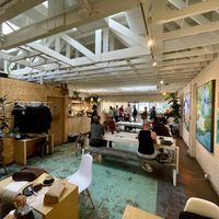 Overall vibe  at Zendo - Coffee Shop in Albuquerque