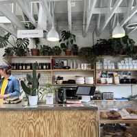 So cute  at Zendo - Coffee Shop in Albuquerque