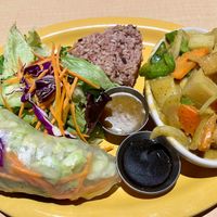 Lunch special. Curry, spring roll, rice, salad. Yum. at Thai Vegan - temporarily closed in Albuquerque